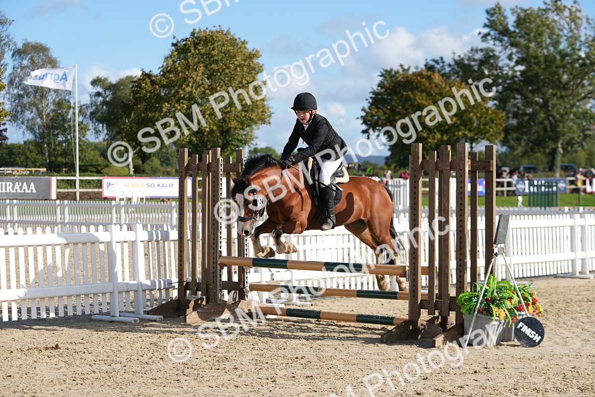 SBM_49393 - J8 - Junior Pony 65cm Championship