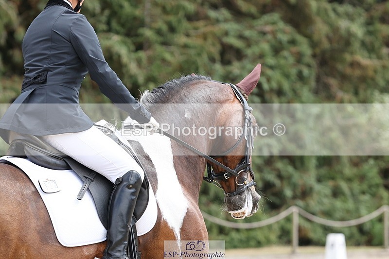 250809A-141855-03960 - 122-Lorraine.MorrisLissyegan.coloured.lady