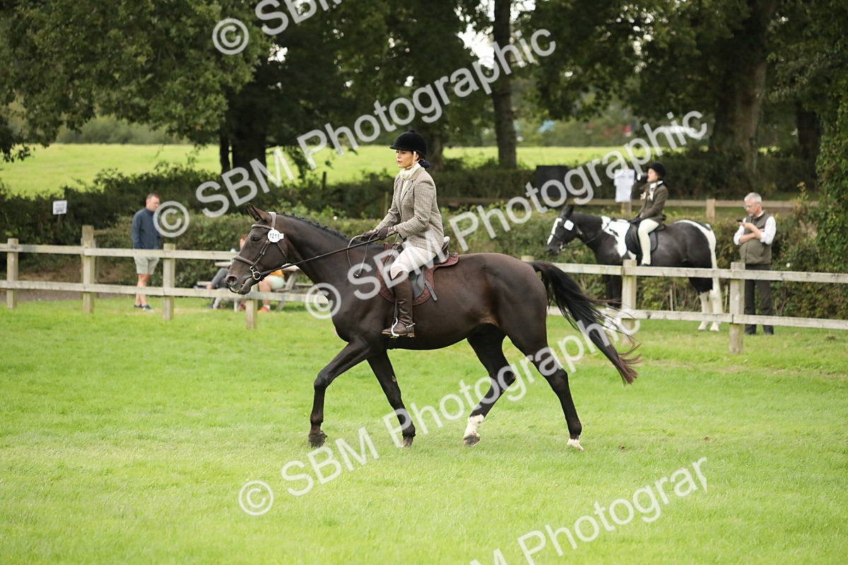 SBM_73808 - S41 - Ridden Equitation (Best Rider)
