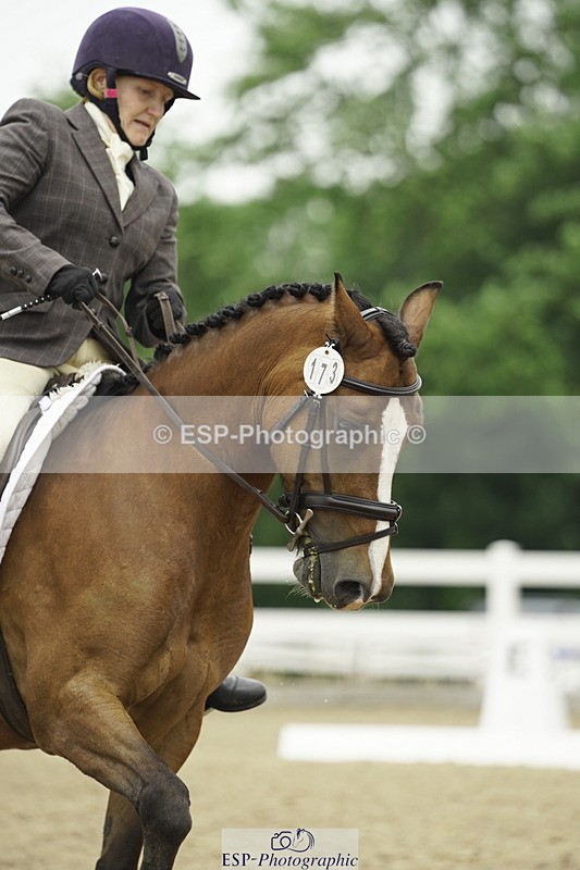 230708A-115102-01050 - Novice 30