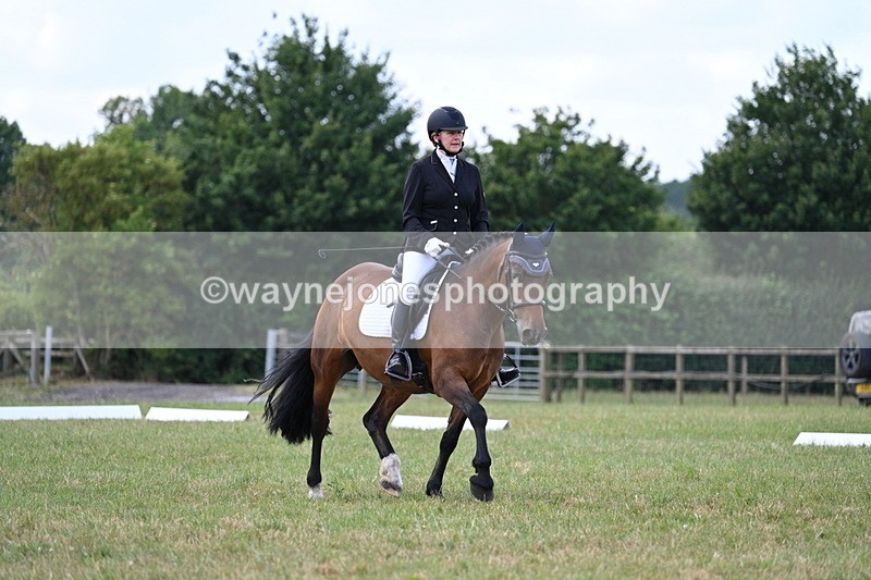 WJ7_5296 - Time 11:22 to 11:51