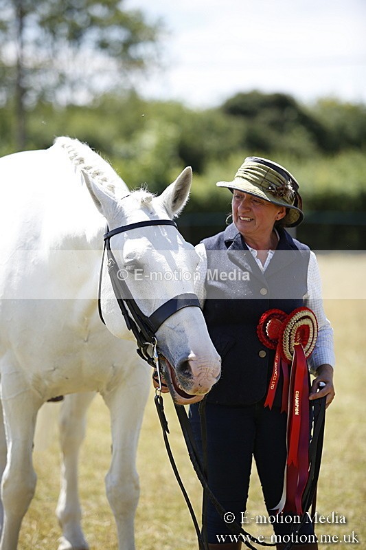 _C7A0170 - In Hand Championship BVRC Show 2018