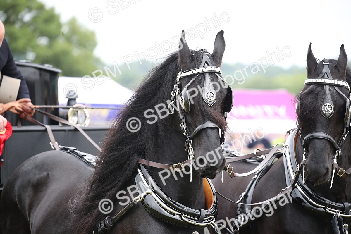 SBM_07050 - Class 16 - Light Trade