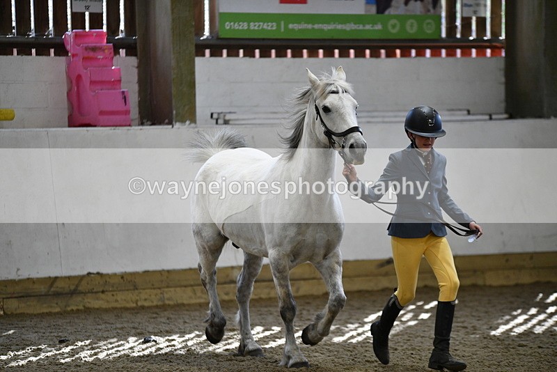 WJ5_4540 - Class 3 Part Bred In hand