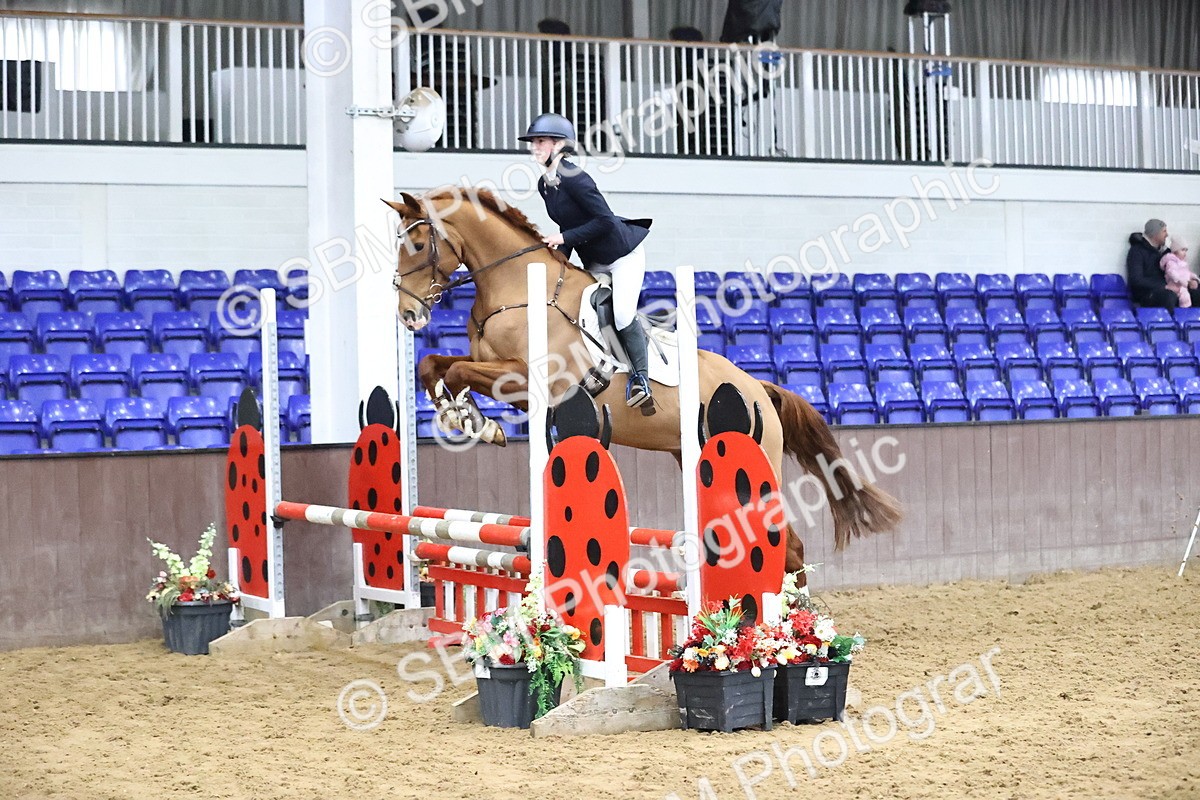 SBM_001477 - Class 8 - Senior British Novice - 90cm