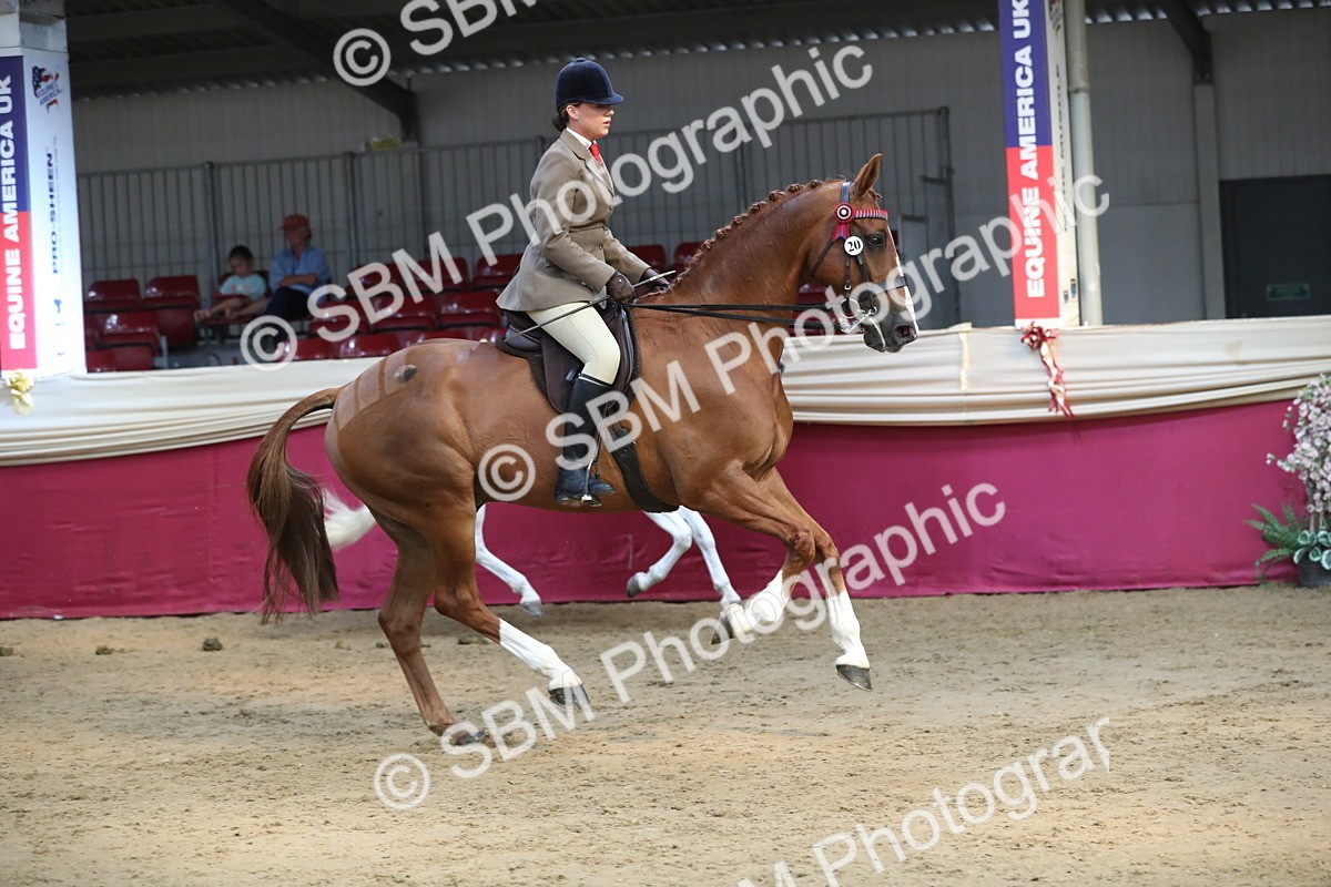 SBM_08313 - Class 11R Regional Ridden Veteran