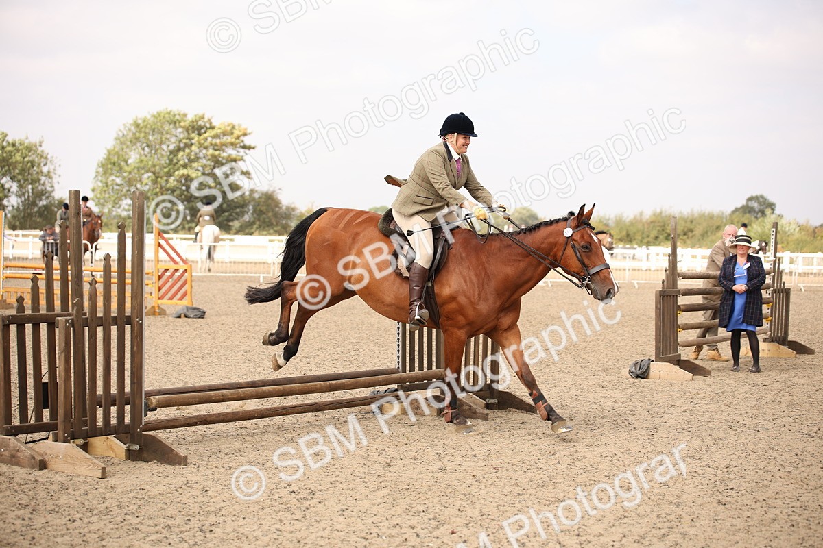 SBM_12895 - Class 406a - Working Veteran 50cm (15-19)