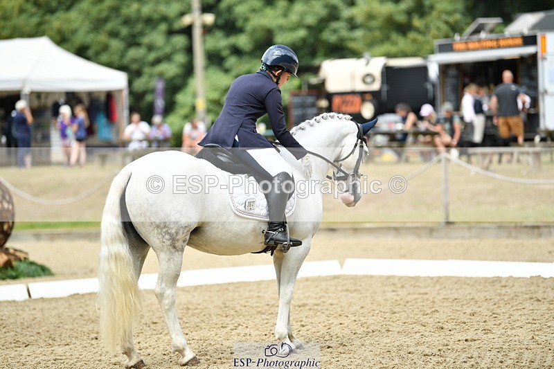 250718A-120917-01356 - 062-Emma.Lomas-Hillgarth.Bombay.Saphire