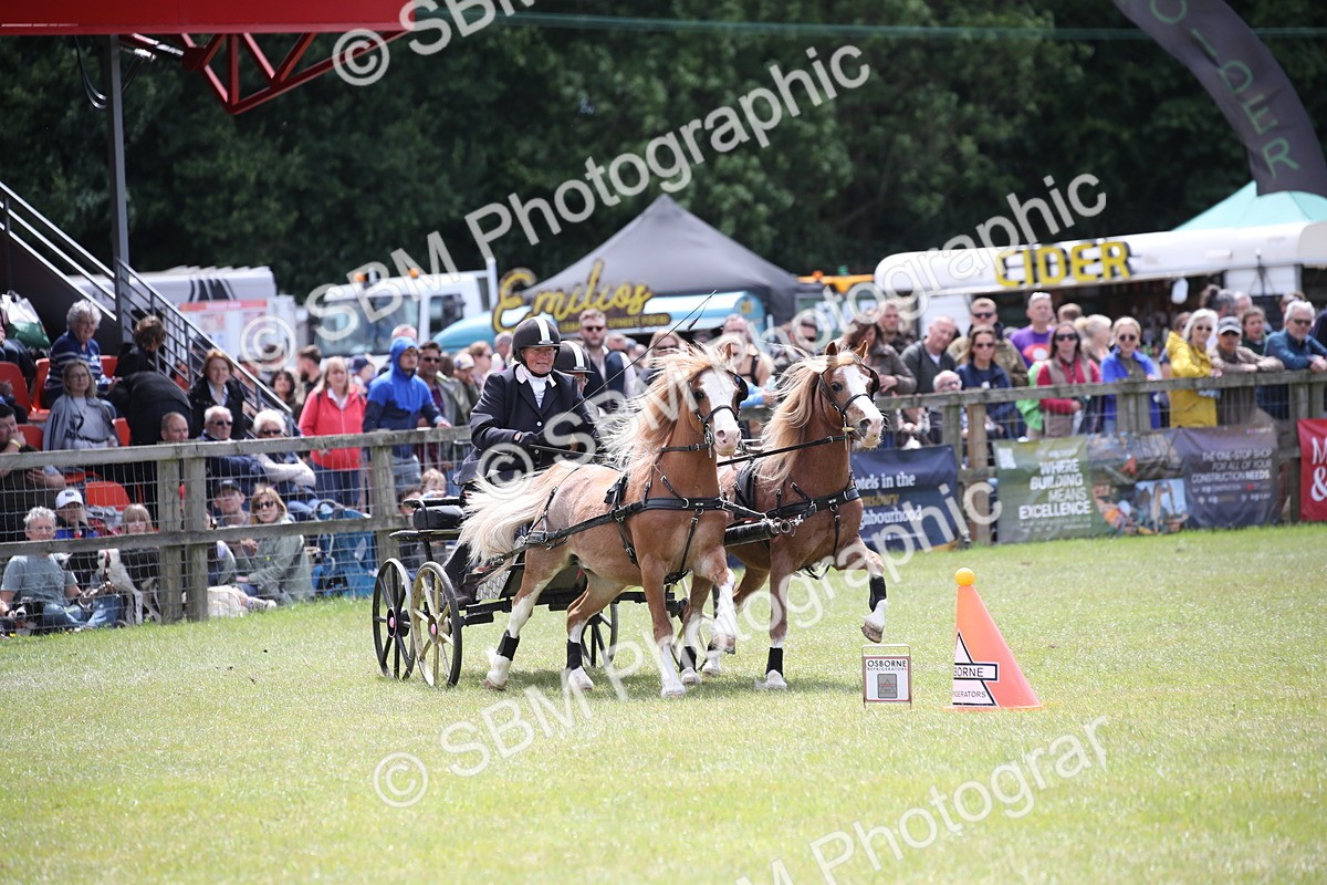 SBM_15505 - Class 90 - Scurry 122cm and Under