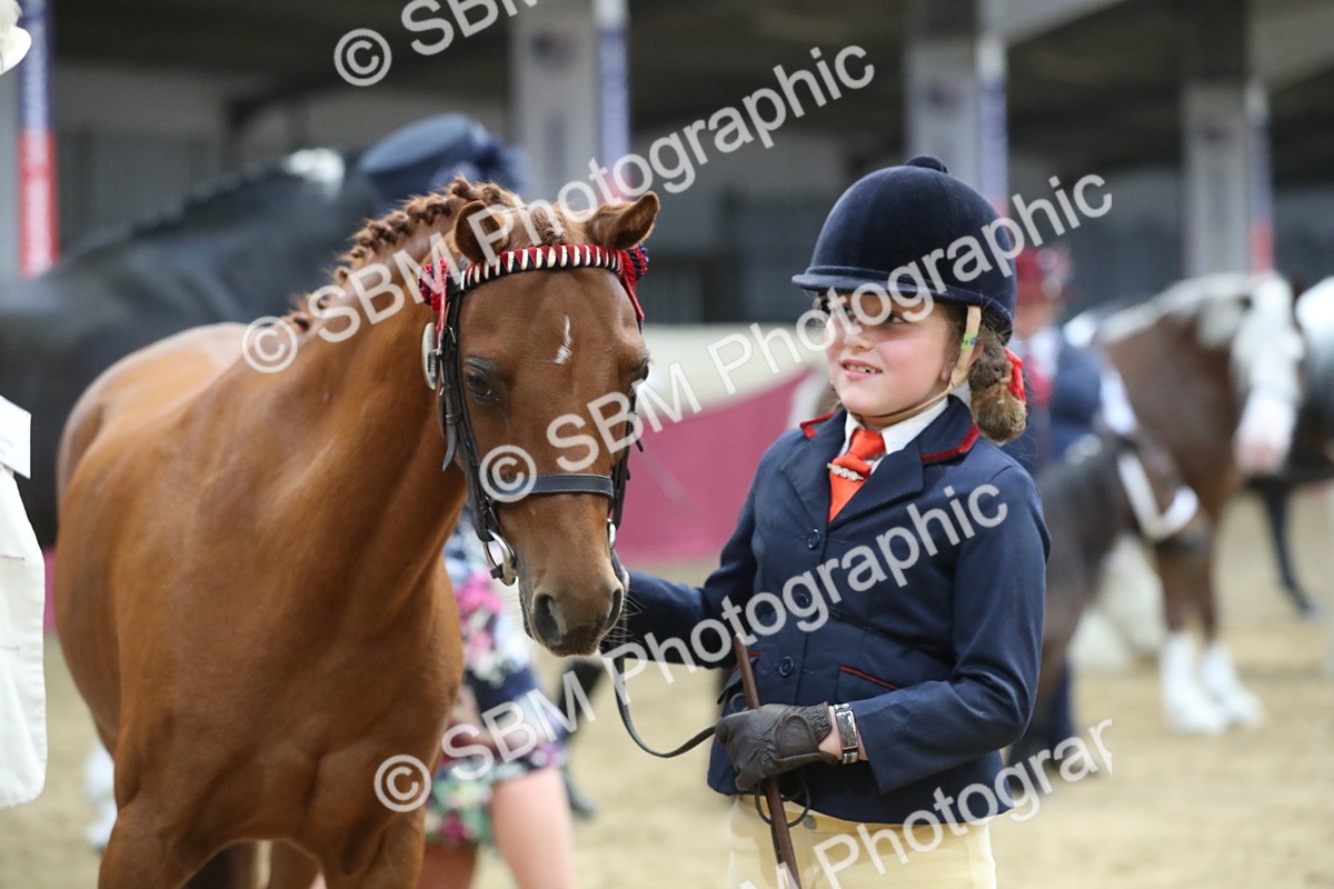 SBM_06431 - Class 9R Regional- IH Pre Vet
