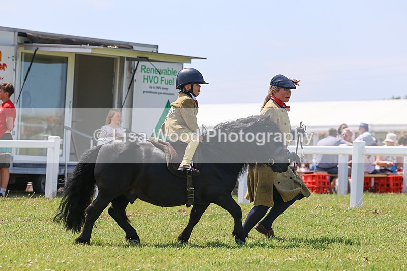 IMG_3026 - M&M Mini Ridden Championship