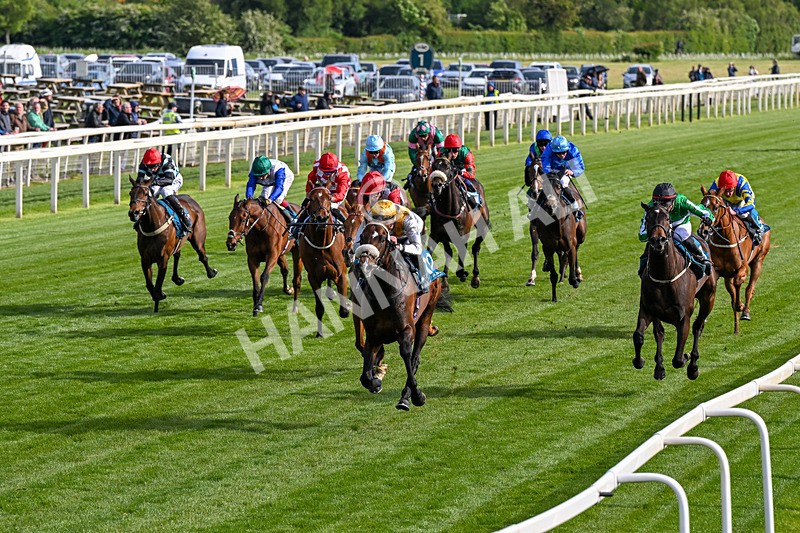 140526-Race 7-Arc Ole Ole-0395 - Race 7 5.15pm Frank Whittle Partnership Handicap