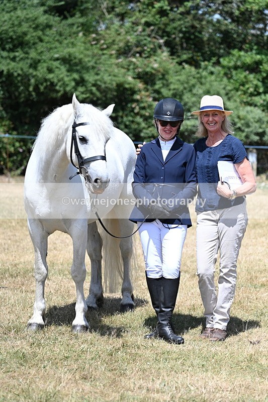 WJ7_2473 - Class 5a Most Handsome Gelding in hand (above 14.2hh)