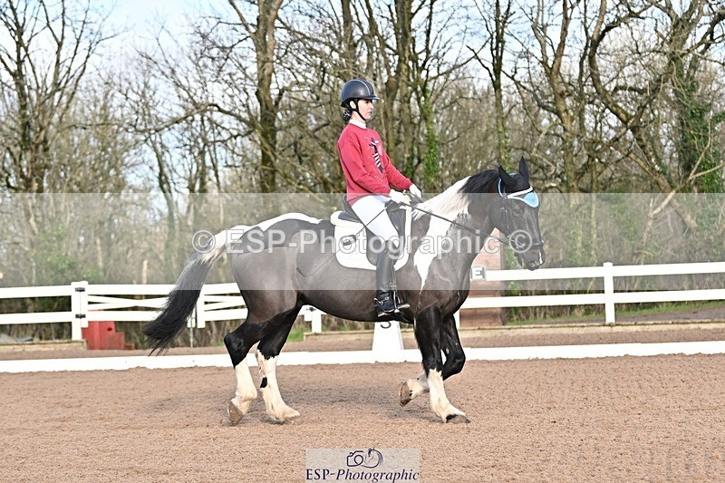 241214-112311-01381 - 130-Alys.Matravers-Tiger.Mazariti