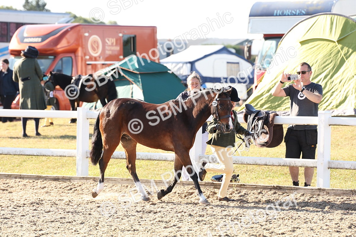 SBM_11630 - Class 203 - Young Handler 11 to 16 years