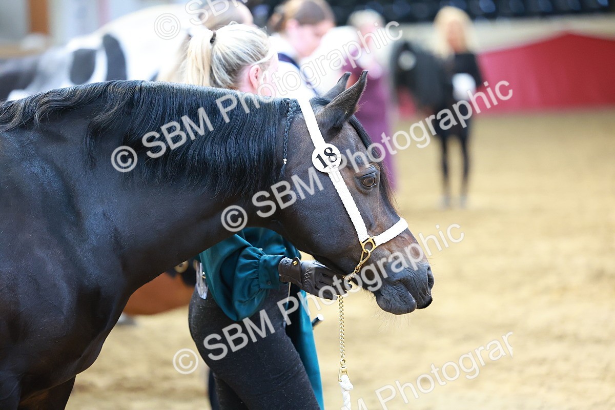 SBM_18513 - Class 903 - Sup Final - IH Pre Vet