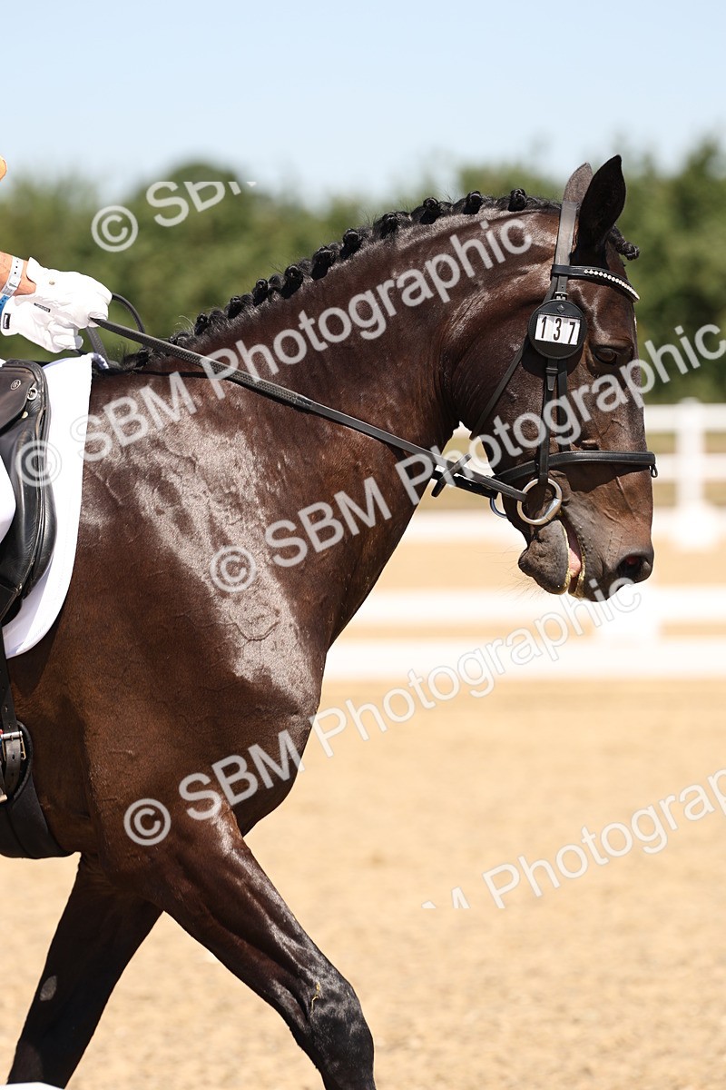 SBM_002120 - Elementary 4 Warm Up