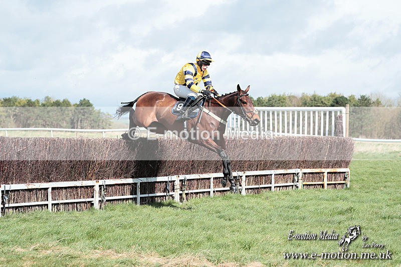 PtP 230324 297 - Tedworth Hunt PtP Larkhill Raccourse 23rd March 2024