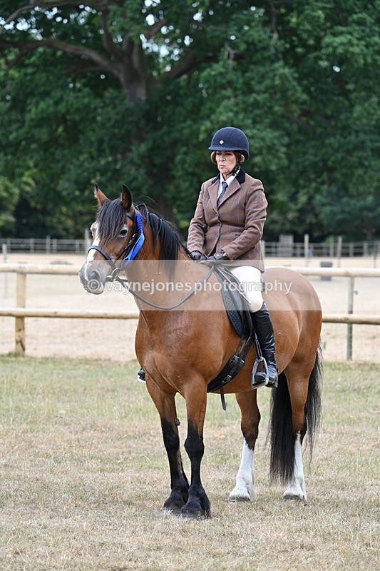 WJ7_0705 - Class 6 Ridden Mountain and Moorland