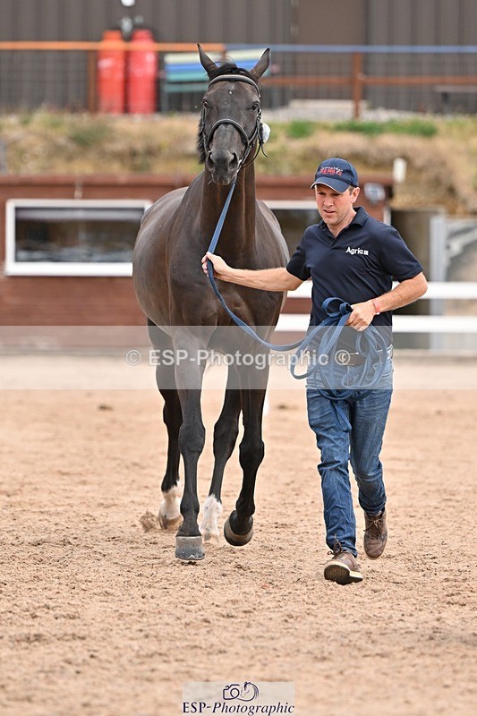 250716-152554-01939 - Trot Up 2.30 to 3.30