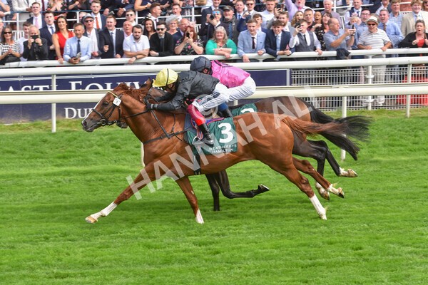 yr20082021r2-57 - Race 2 2.25pm Weatherbys Hamilton Lonsdale Cup (British Champion Series race)