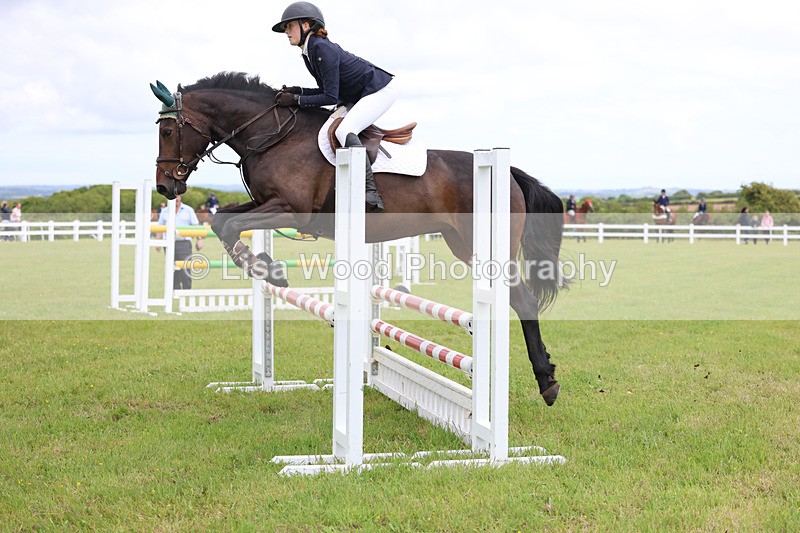 3E7A7208 - Class 13: Senior British Novice/90cm open