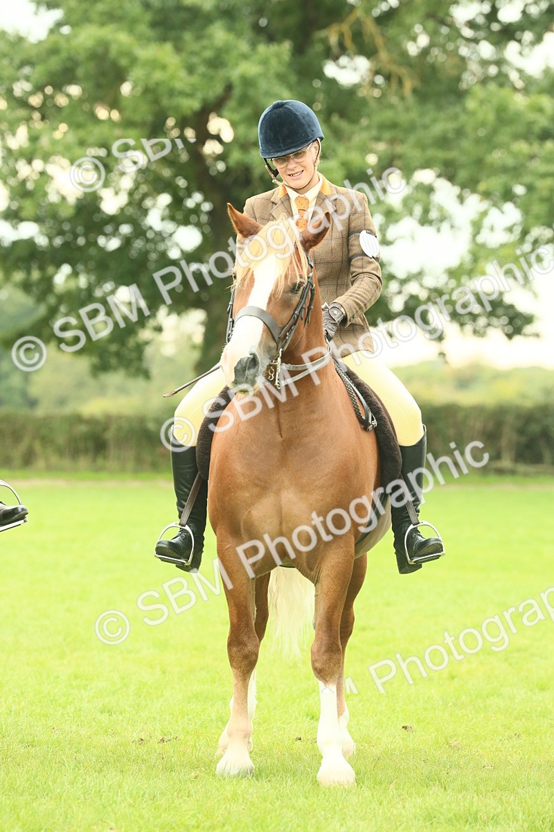 SBM_72190 - S60 - Mountain & Moorland Ridden Large Breeds