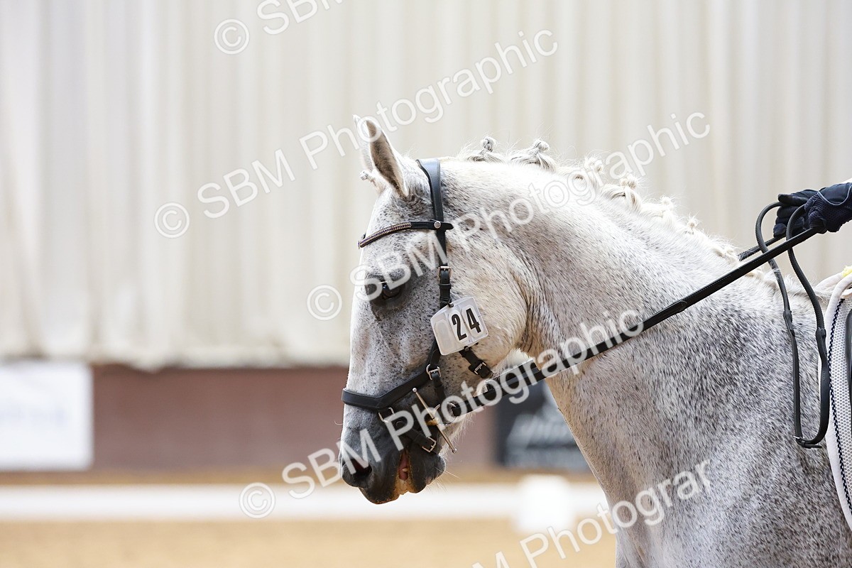 SBM_001516 - Novice Test 3 - PYO