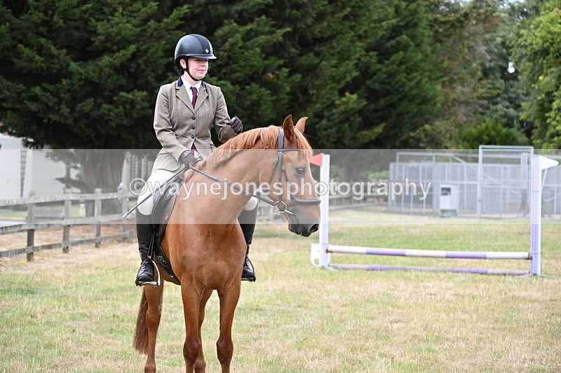 WJ6_4060 - Class 9 Tack & Turnout