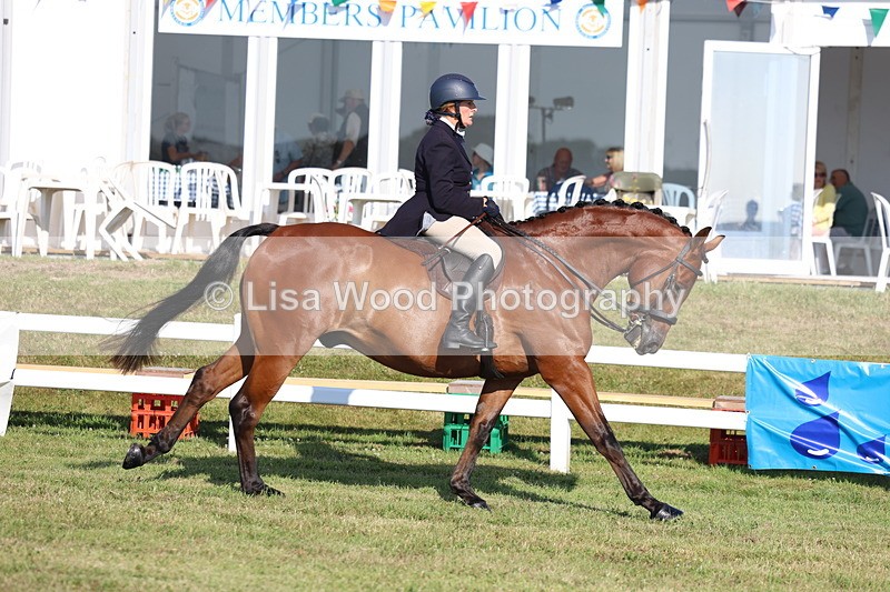 3E7A5330 - Class 2: Rising Star Large Hack/Riding Horse