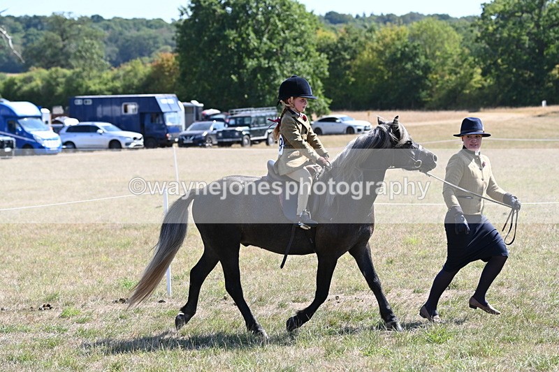 WJ6_7789 - Class 36 Lead Rein