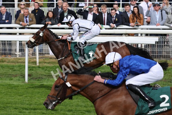 yr13052022r5-23 - Race 5 4.10pm Paddy Power 'Fill Thi Boots' Stakes