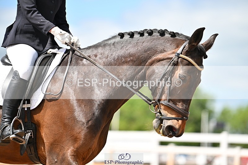 240622A-145045-11962 - Cls 5 Novice 27