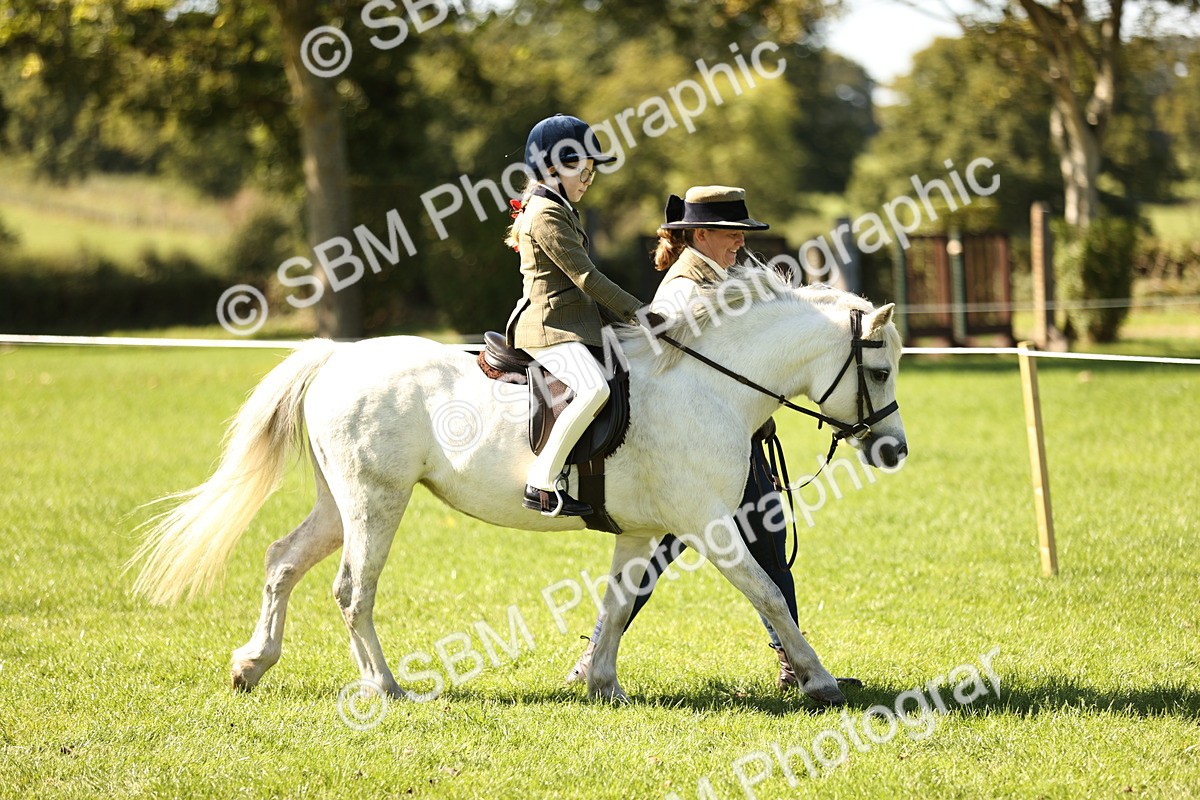 SBM_19202 - S3 - TSR Ridden Pony Showing