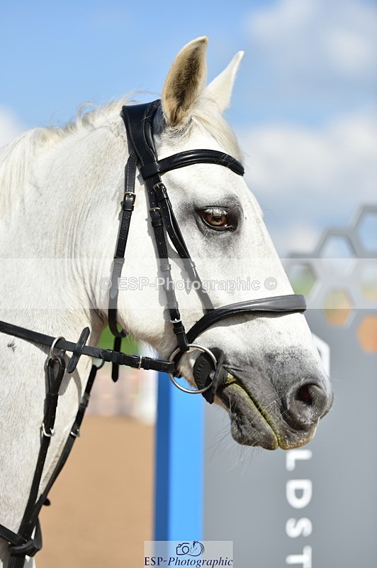 230902A-153526-01945 - Cls 4A Pony Big 95cm