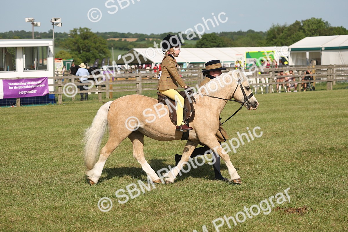SBM_10196 - Class 33-38 - SSADL RIHS Qualifiers