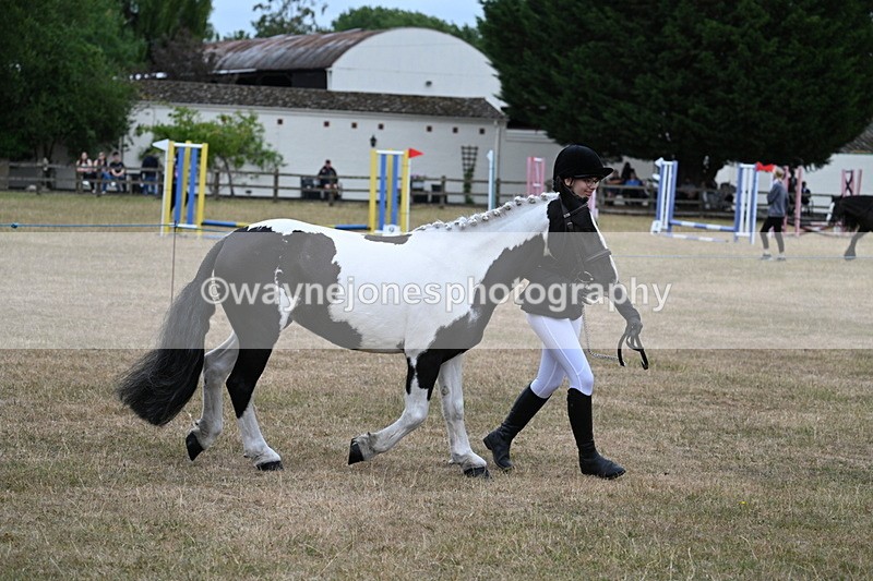 WJ7_8365 - Class 4 Prettiest Mare up to 14.2hh