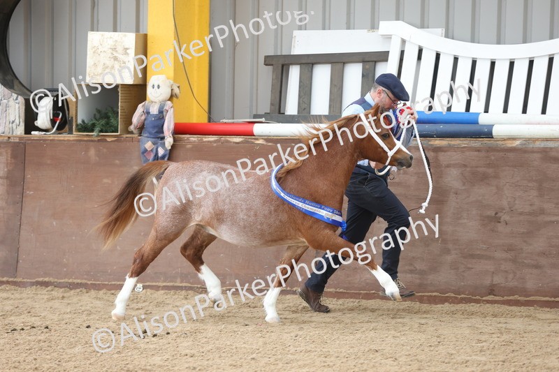 20251109-0711 - Championship