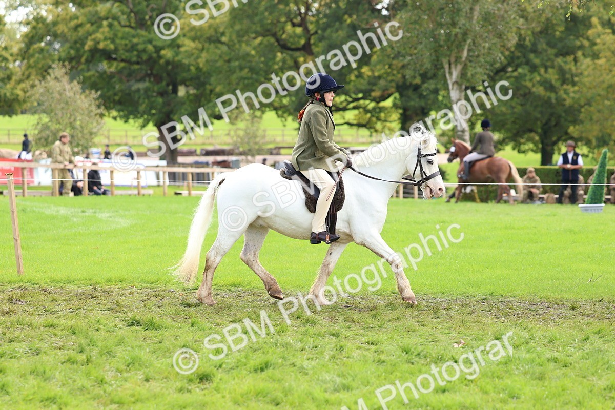 SBM_45172 - S27 - Young Veteran Ridden