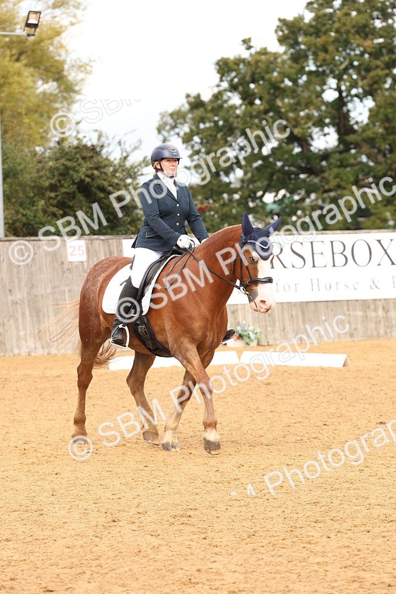SBM_40618 - D6 - Small Tour Championship Intro 4