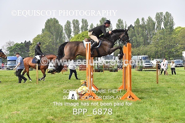 BPP_6878 - CLASS 3 RHS Fox Champ Qual (1.20m)