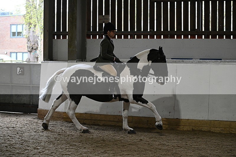 WJ7_3822 - Class 17 Ridden Cob