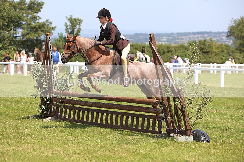 JPP_2957 - Class 22: Working Hunter 70cm