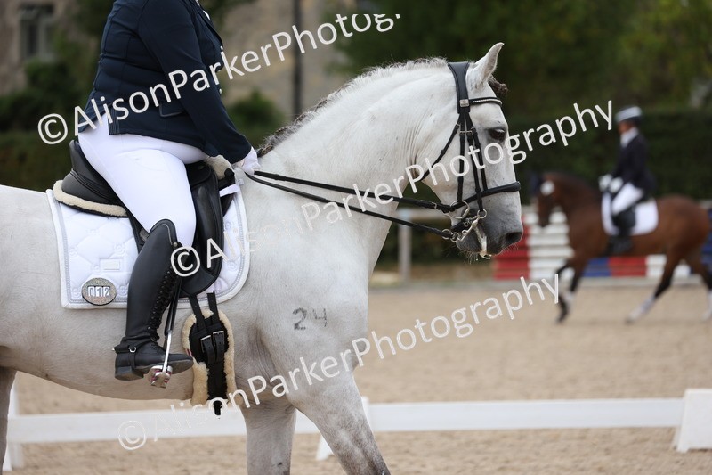 20250820-1044 - Class 17 - Elementary 4