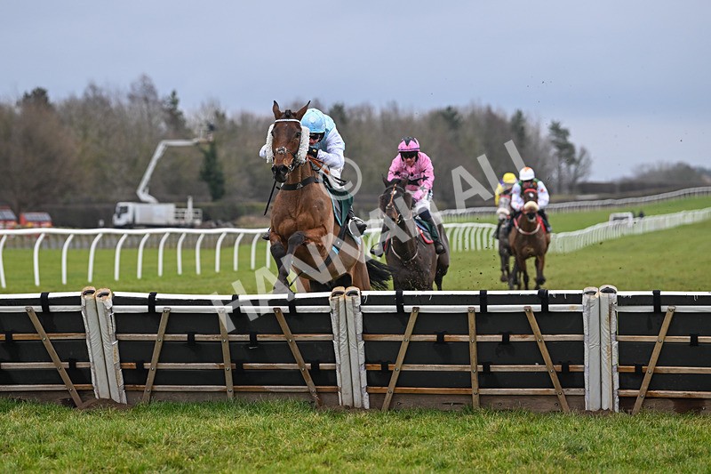 100225-Race 1-Tigerbythetail-6321 - Race 1