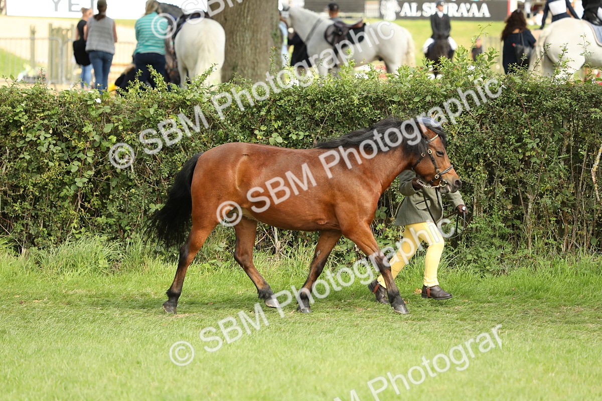 SBM_68519 - S40 - Junior Handler 9-12 Years