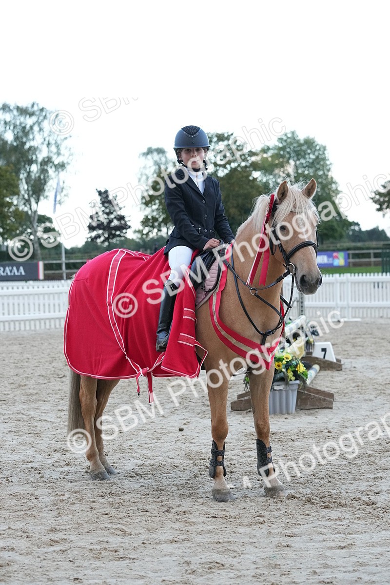 SBM_54240 - Supreme Championship 60cm 65cm