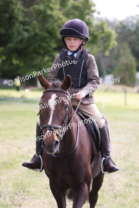 20260614-0530 - Class 20 - Beginners Working Hunter Pony