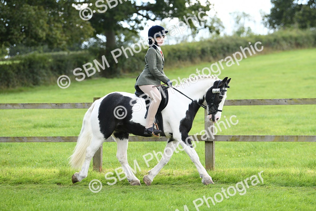 SBM_46732 - S12 - Family Horse & Pony