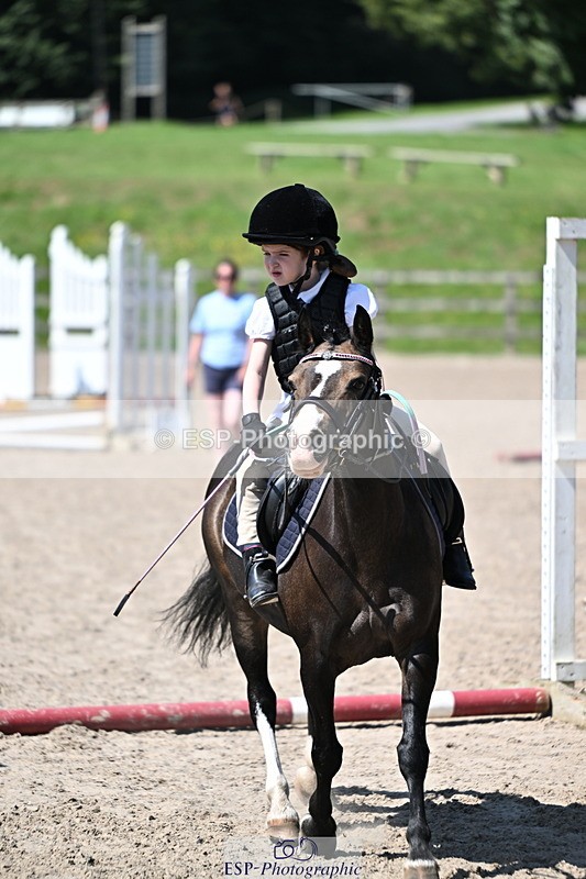240729B-113827-02463 - Showjumping Competition